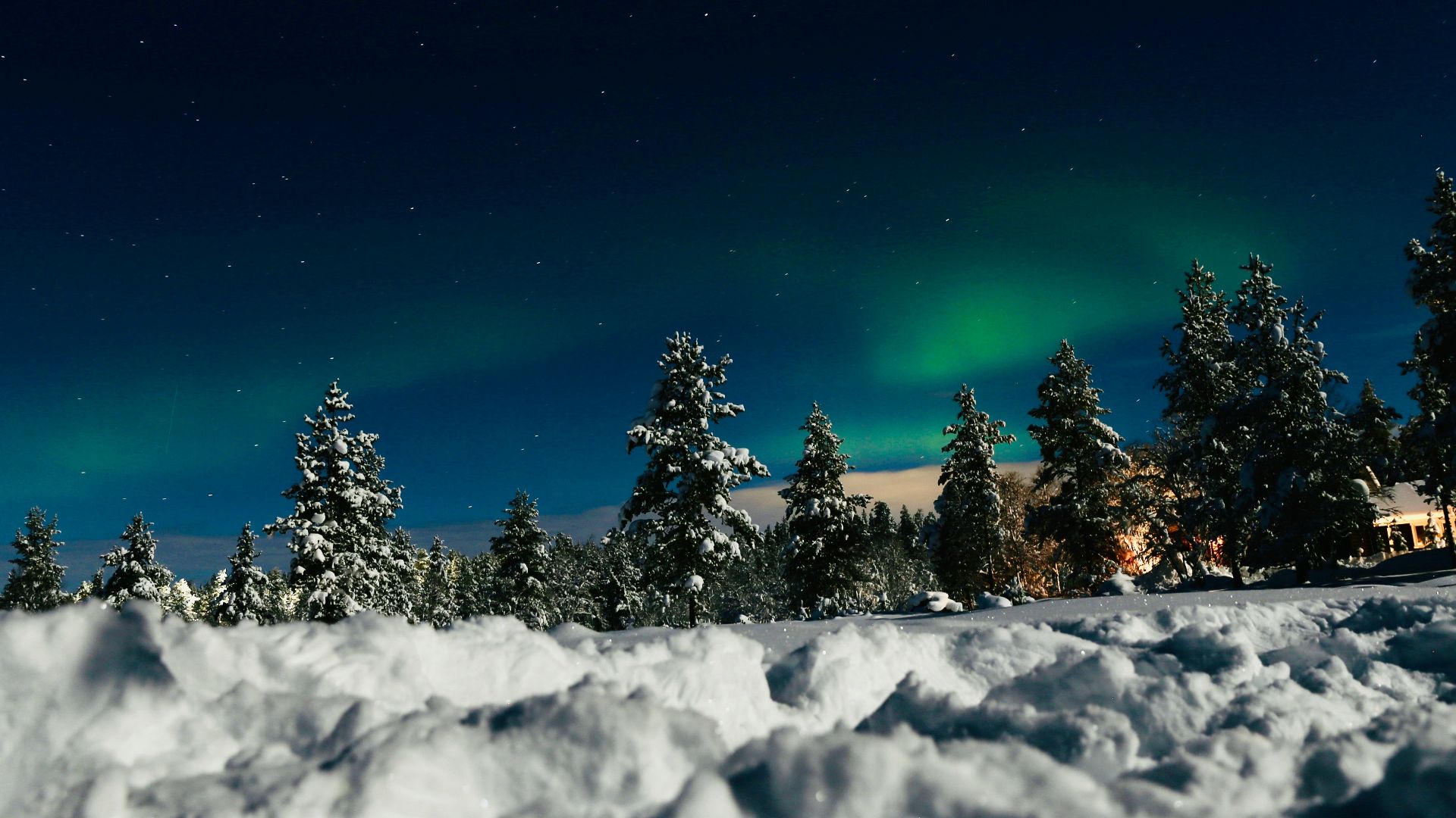 green trees covered with snow under blue sky during night time