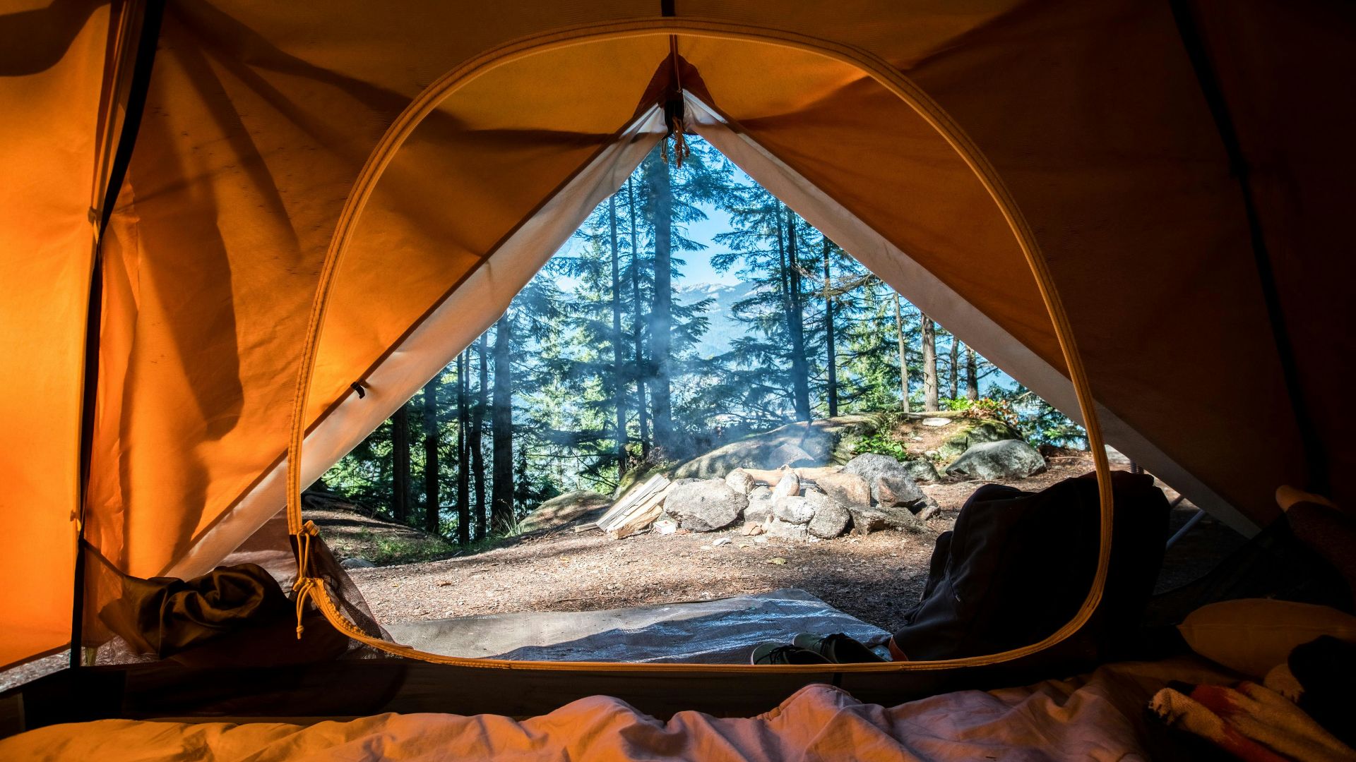 orange camping tent near green trees