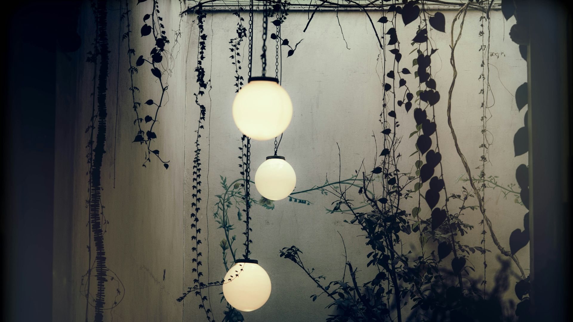 three white lighted hanging lights