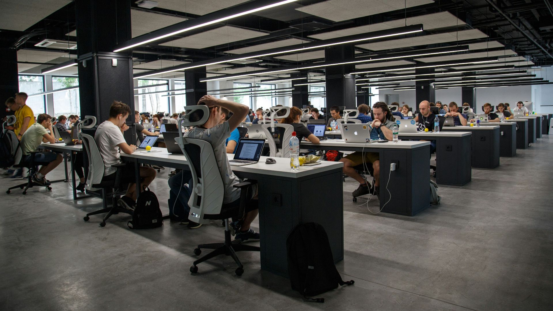 people doing office works