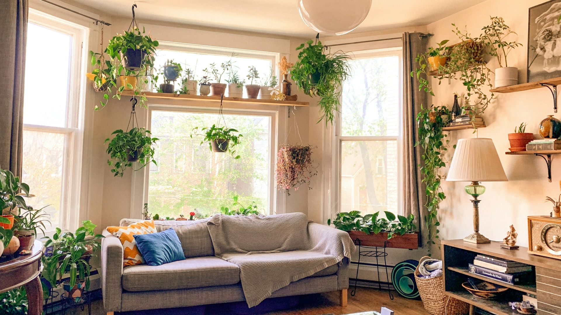 blue and white sofa set