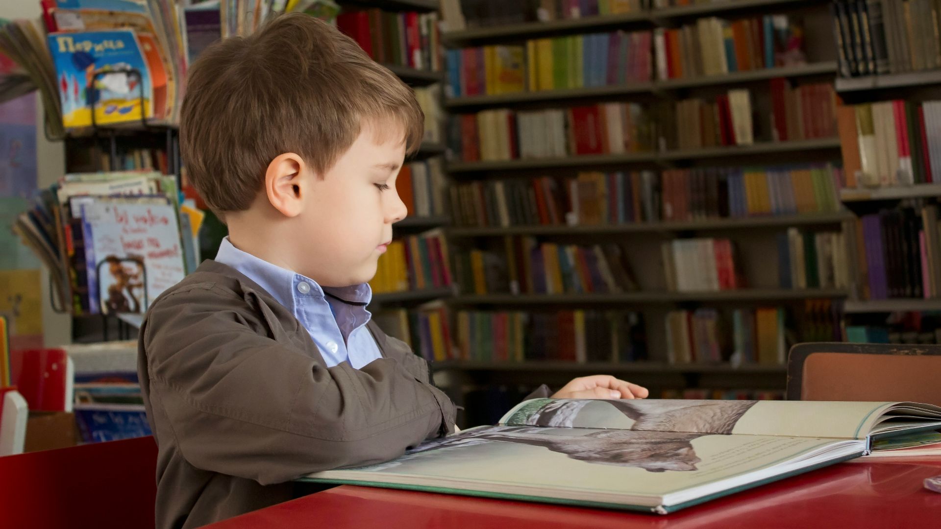 boy sitting near red table reading book
