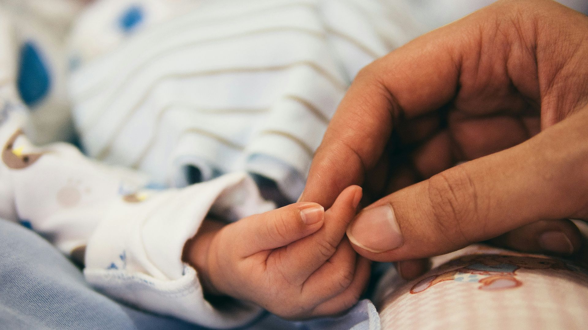 person holding baby's index finger
