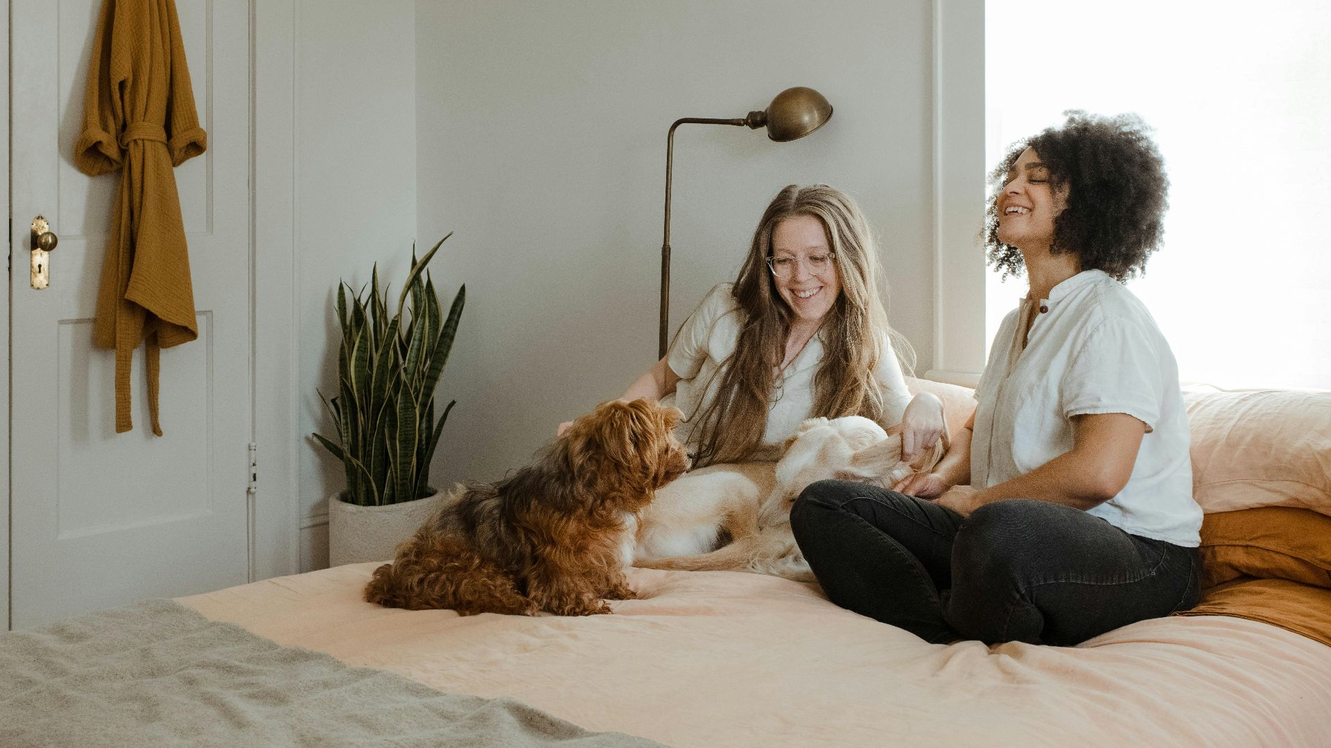 woman in white long sleeve shirt sitting on bed beside brown dog