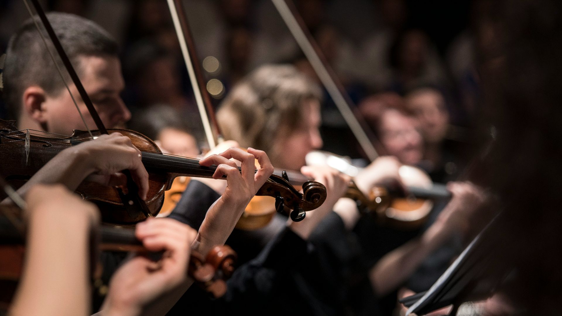 people playing violin inside dim room