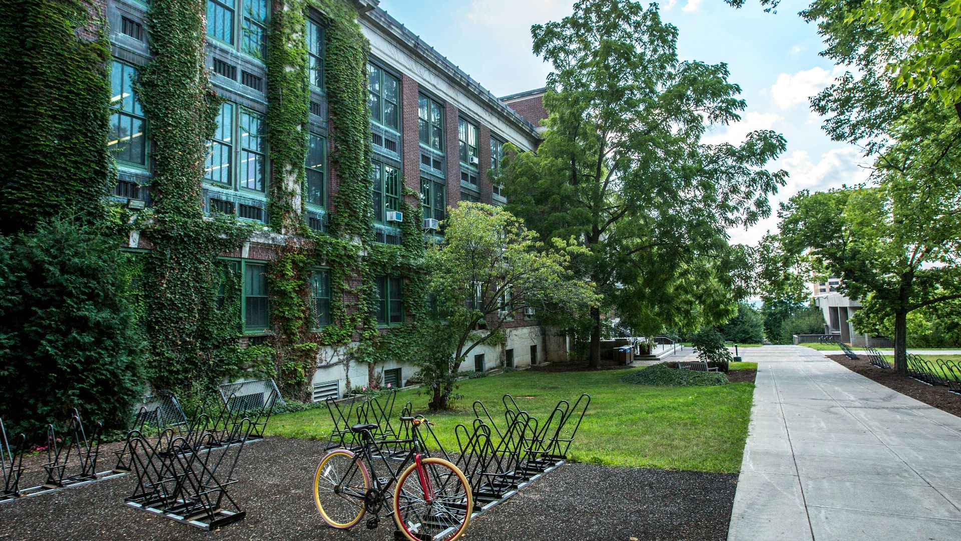 black bicycle parked in front of building