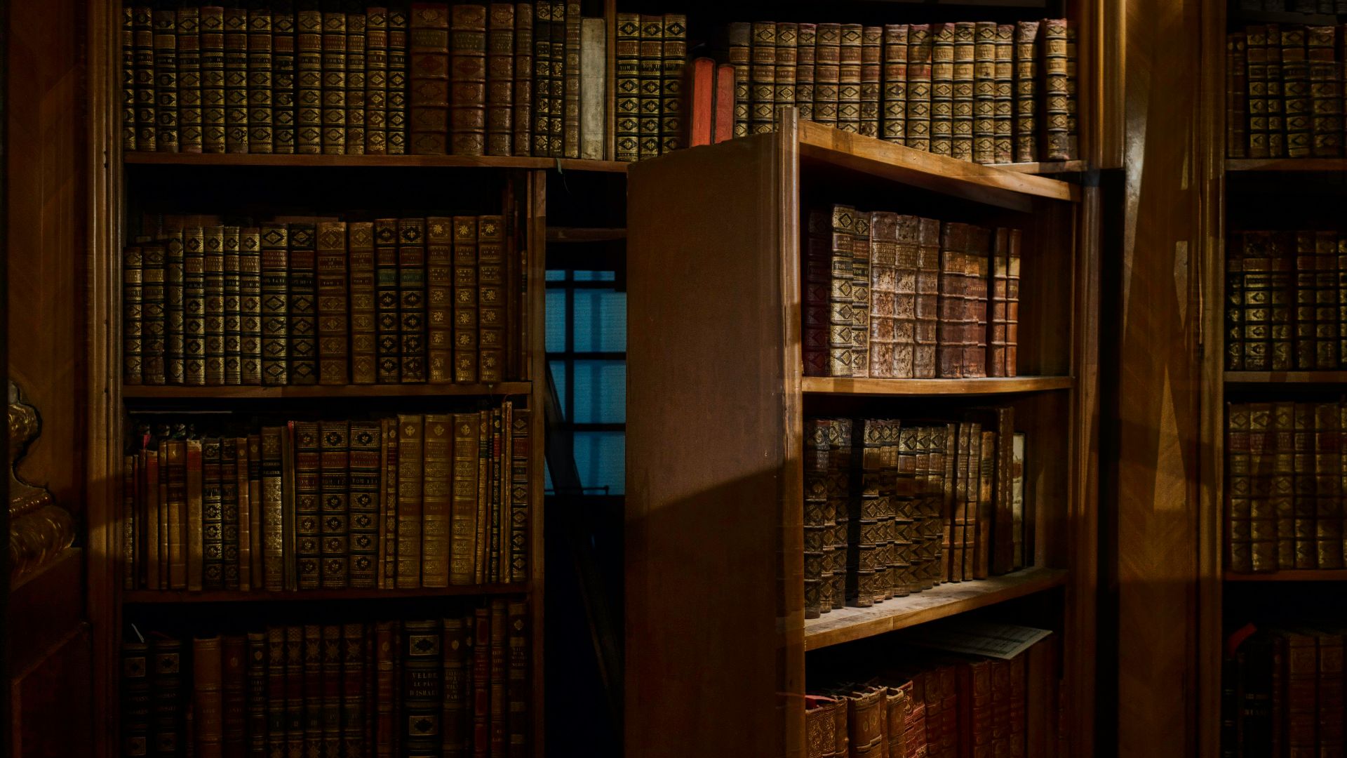 opened secret door inside library