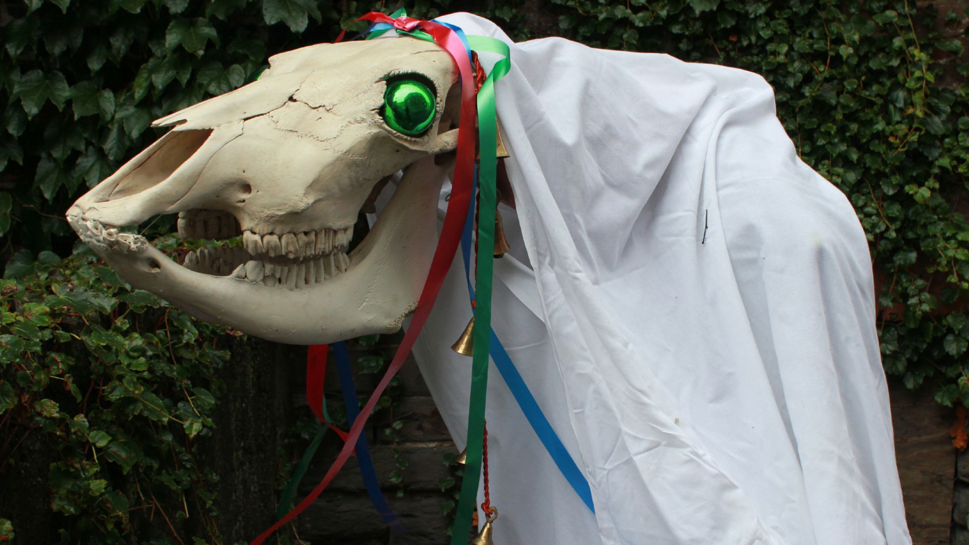 File:Mari Lwyd (wiki).jpg