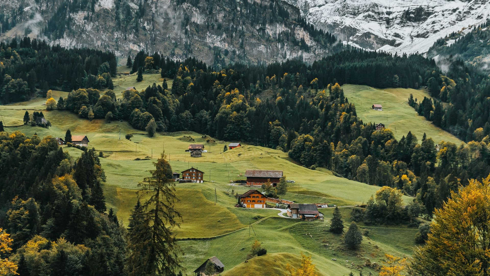aerial photography of houses on green hill