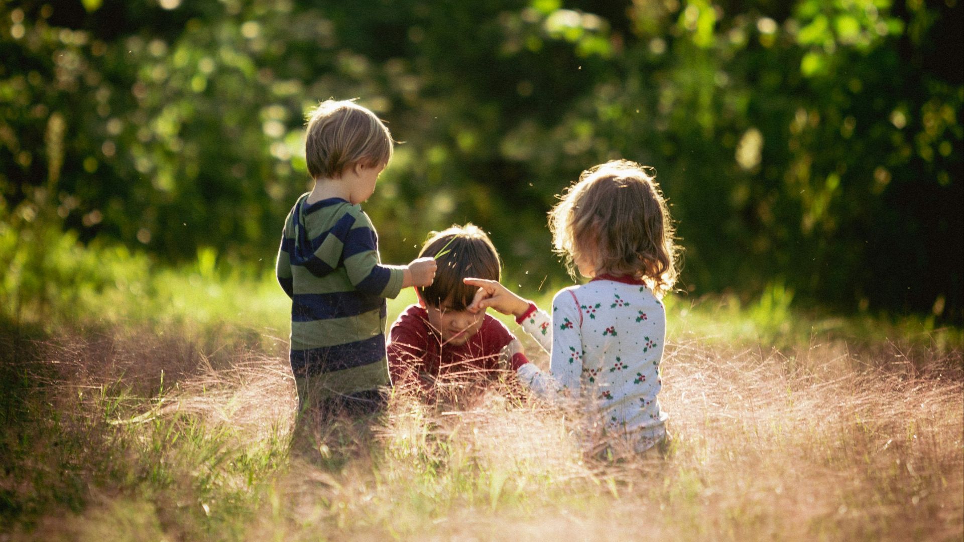 three children are sitting in a field of tall grass