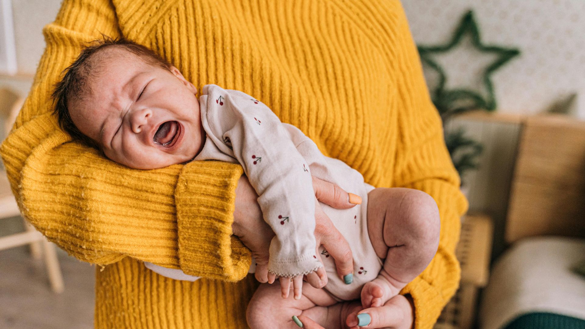 Antoni Shkraba Studio