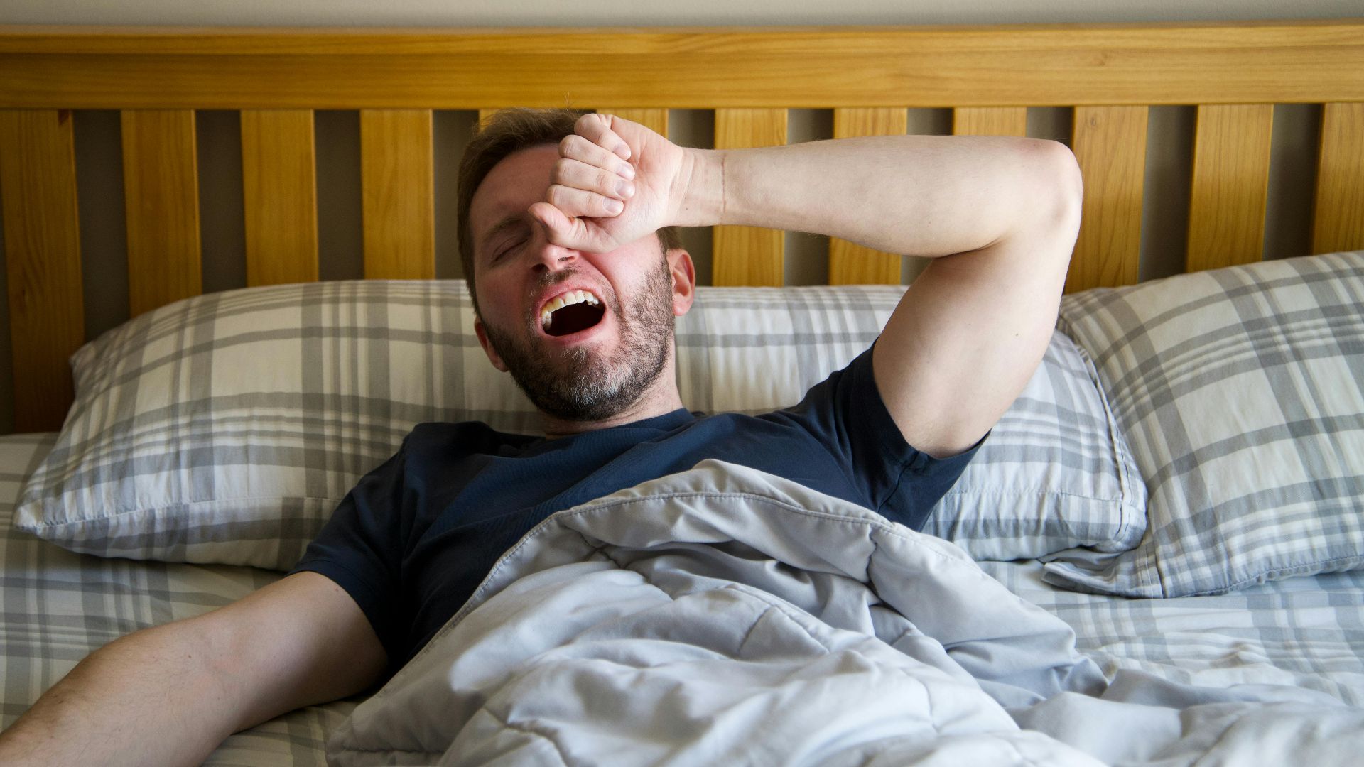 Andrew Patrick Photo