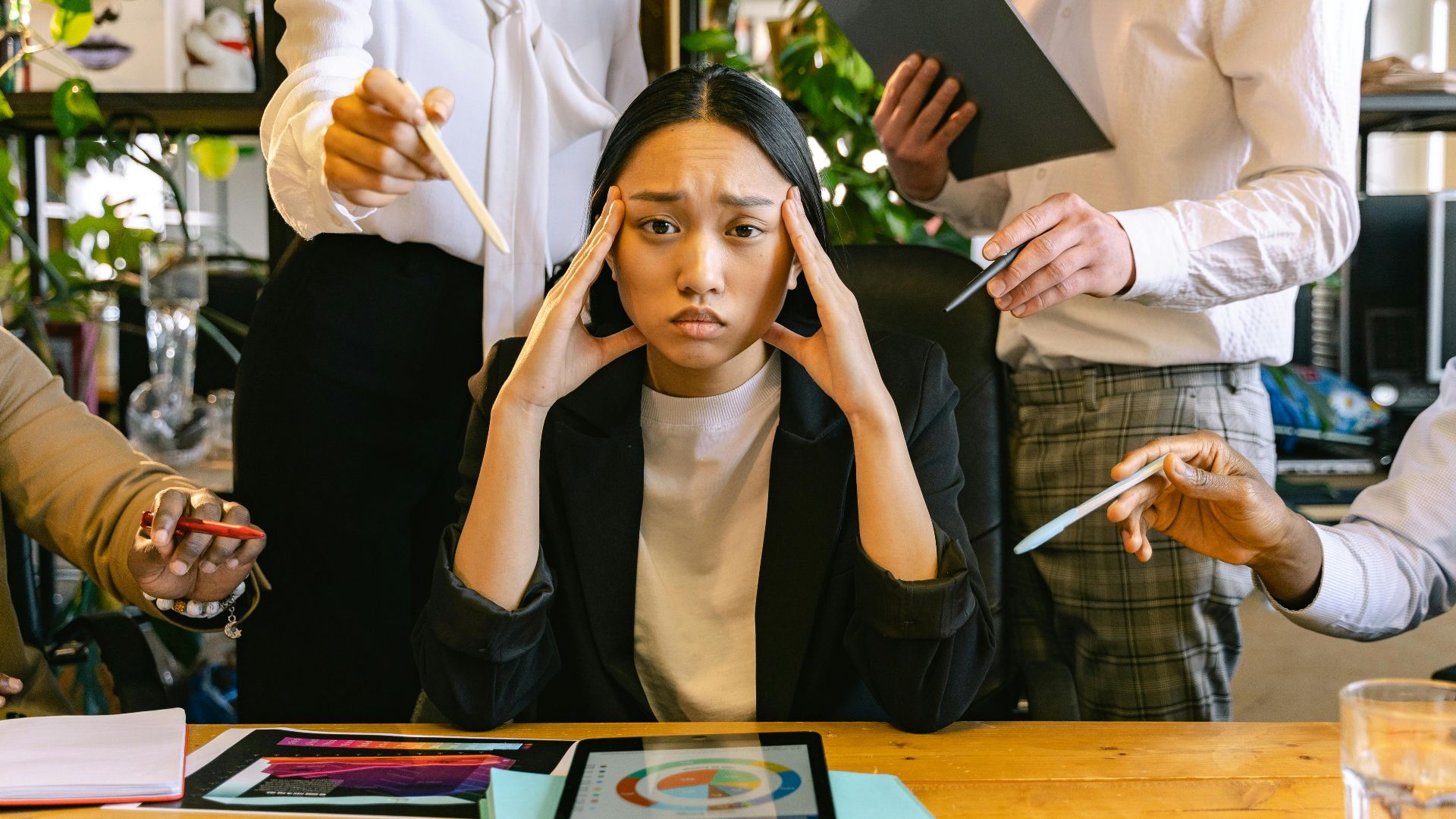 Antoni Shkraba Studio