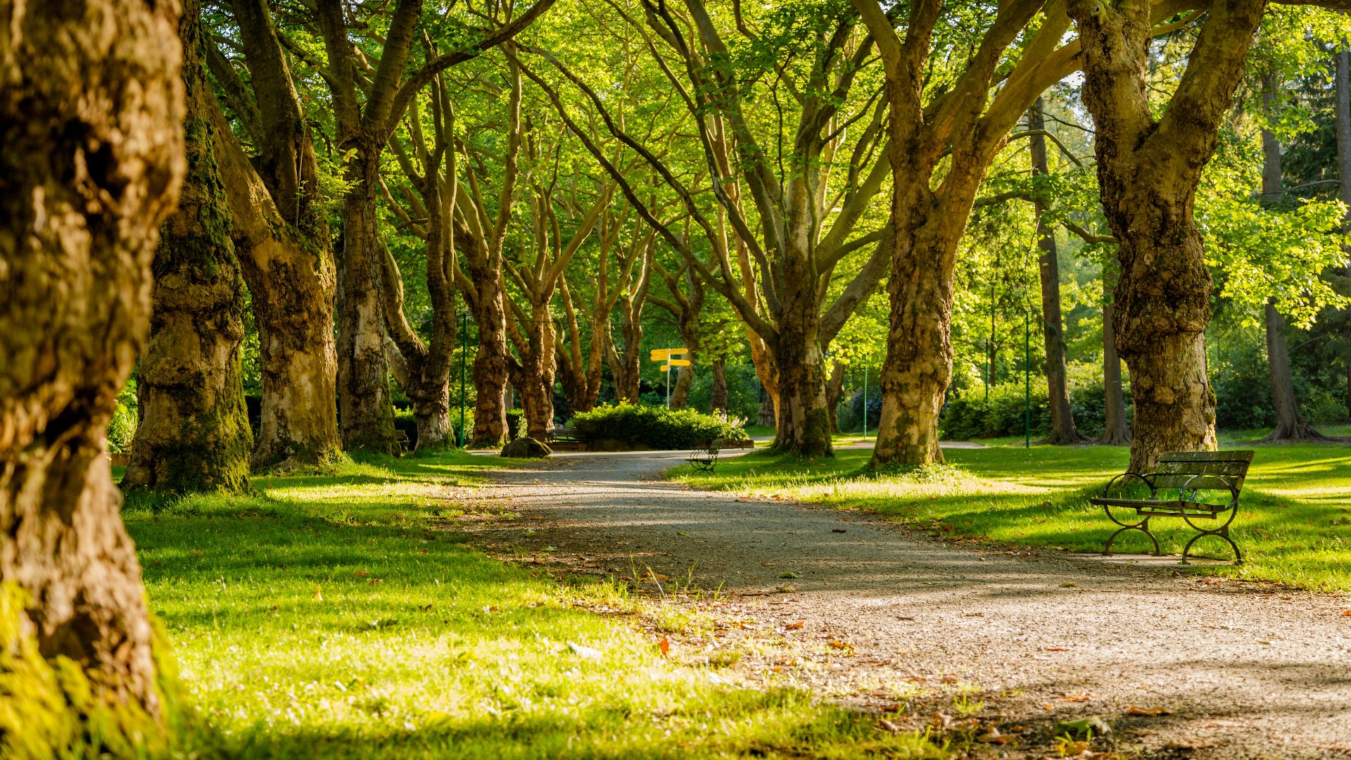 photo of empty park during daytime