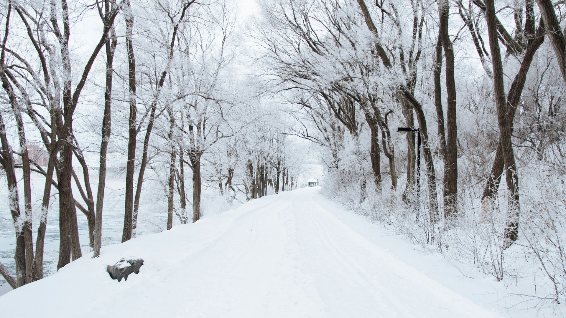 dirt road cover by snow