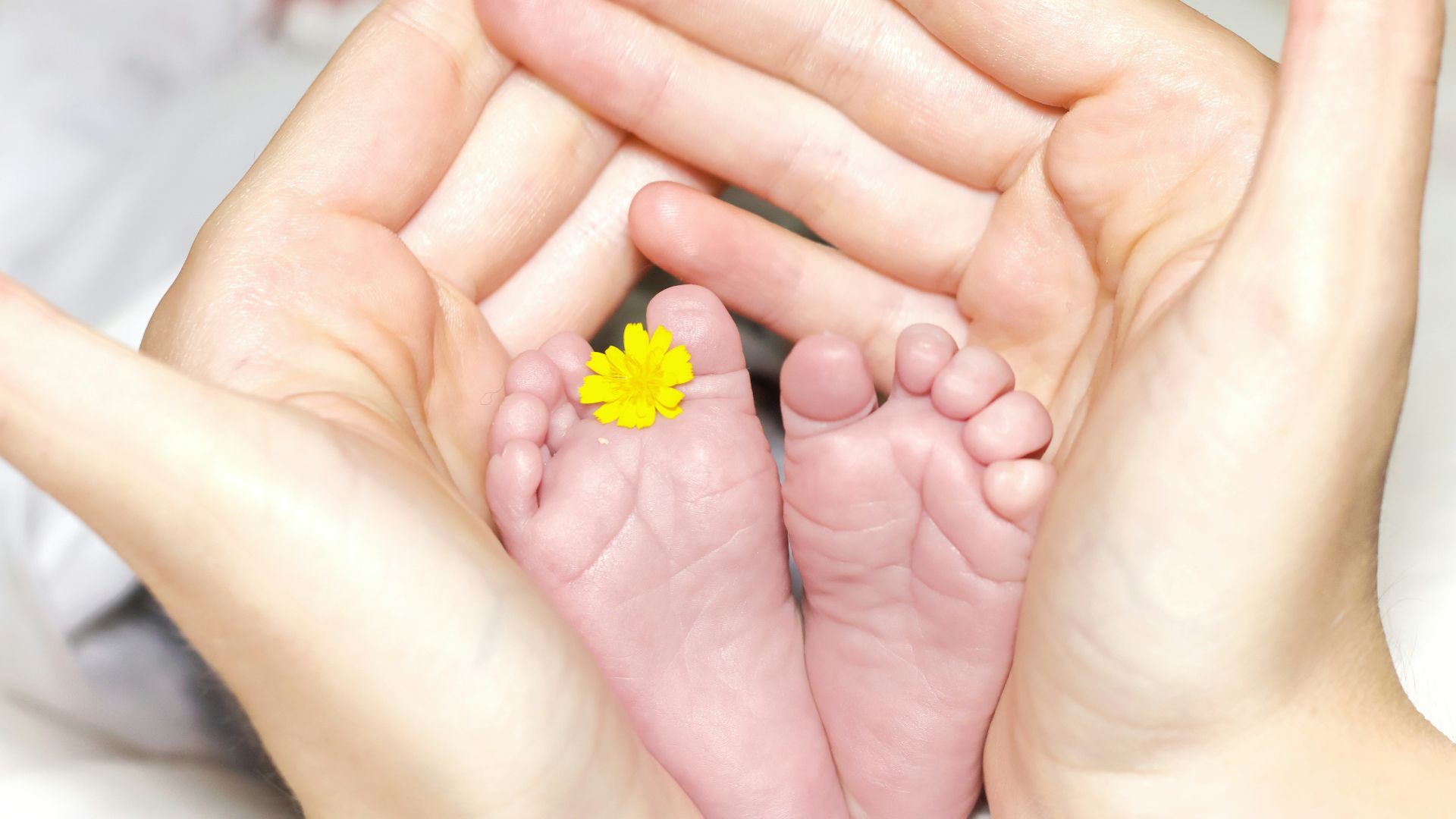 person holding baby's toe with yellow petaled flower in between