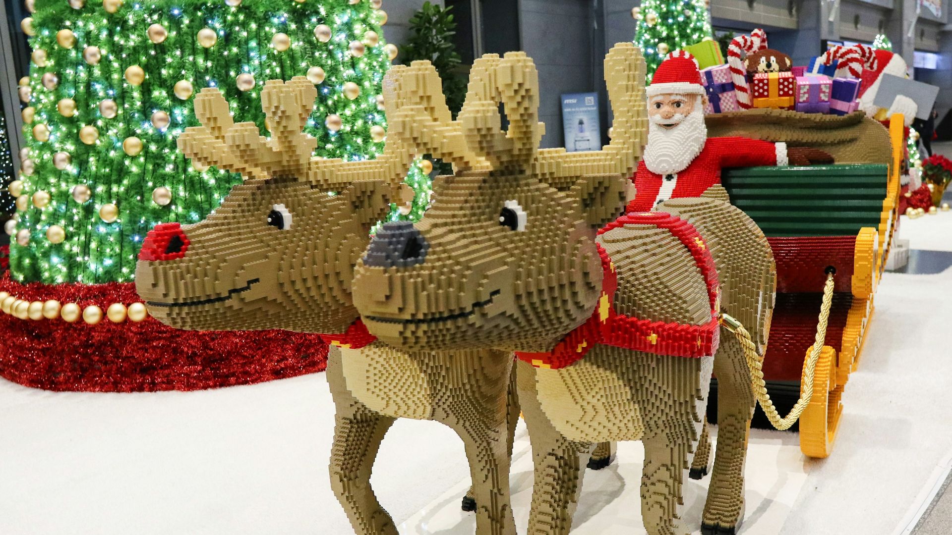 a couple of reindeer pulling a sleigh down a street