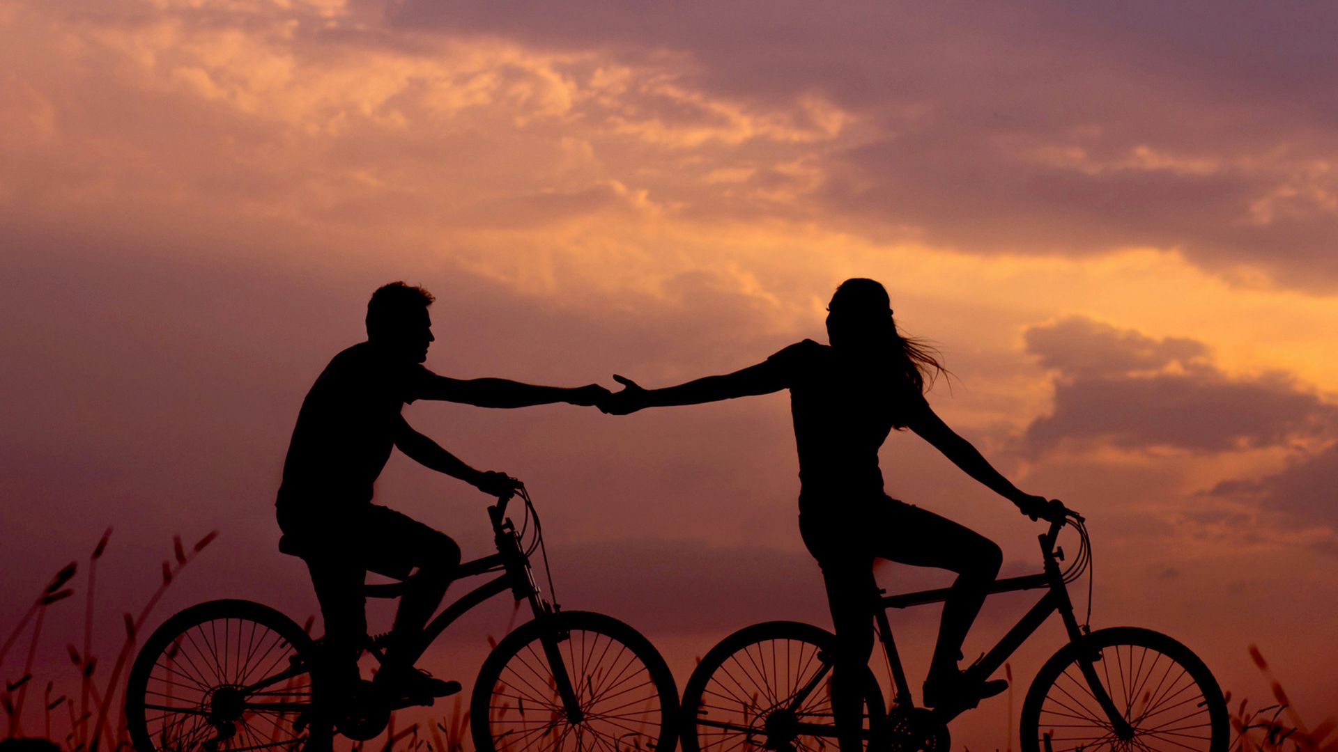 woman on bike reaching for man's hand behind her also on bike
