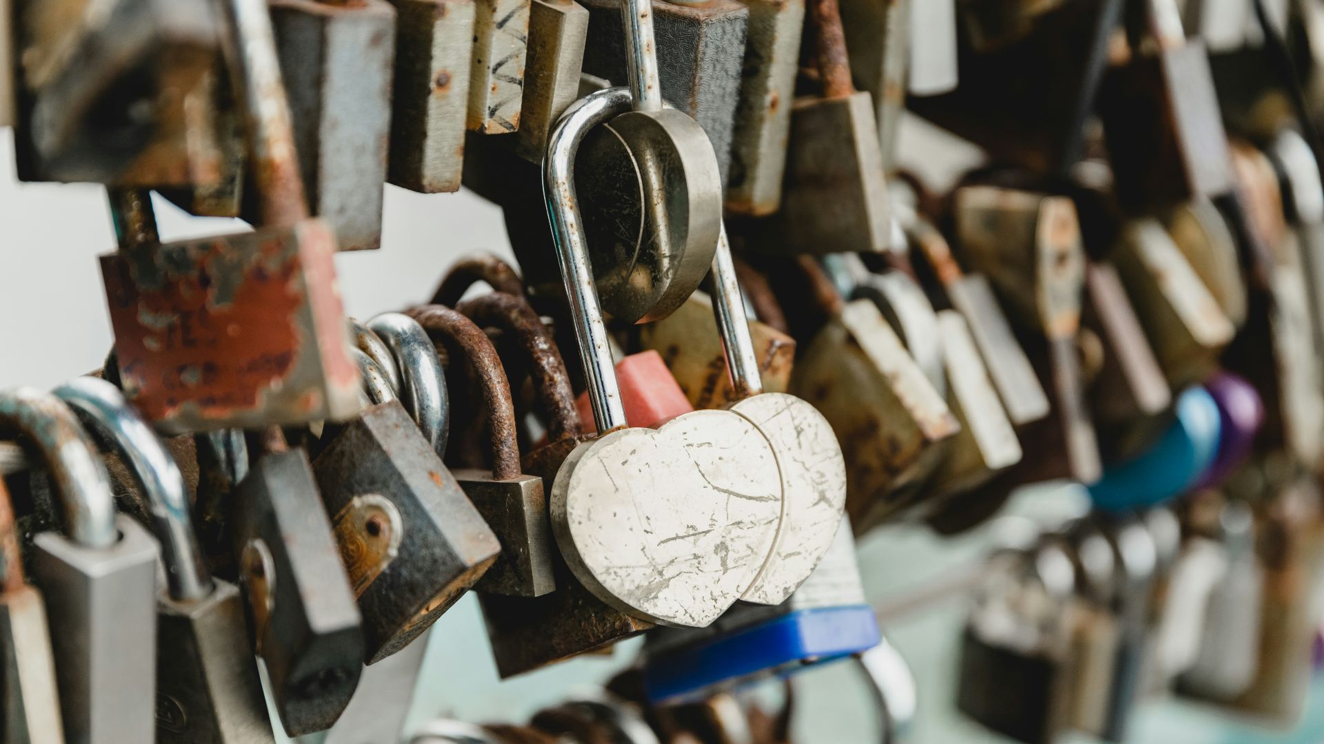 assorted-color padlocks