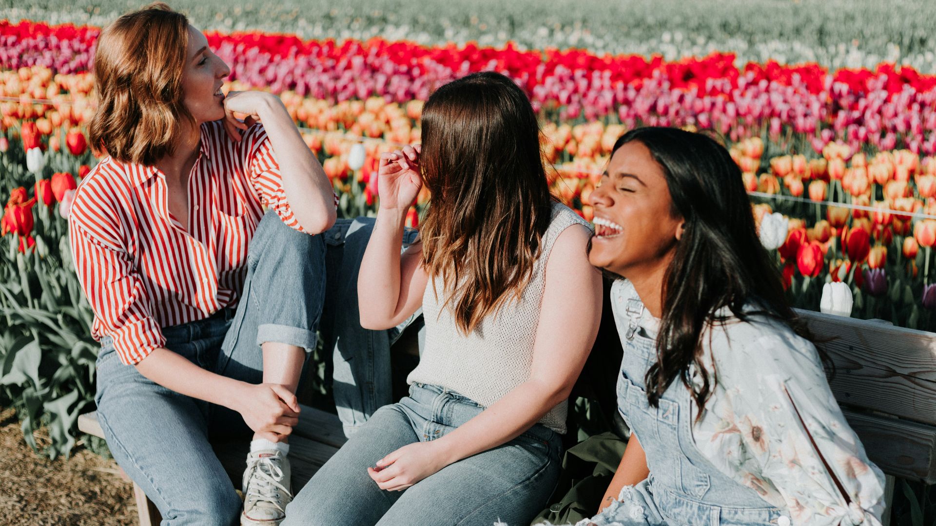 three women sitting wooden bench by the tulip flower field