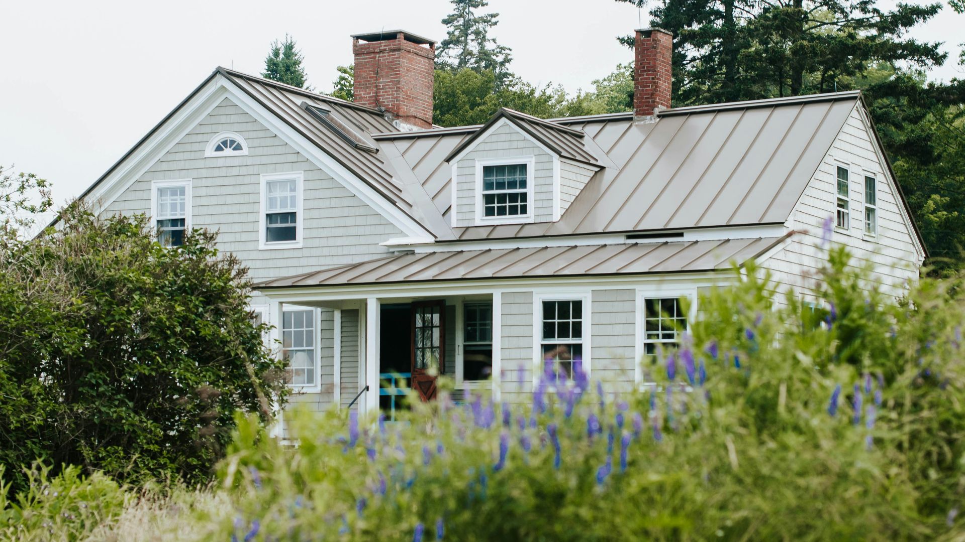 white and gray wooden house surrounded by green plants during daytime