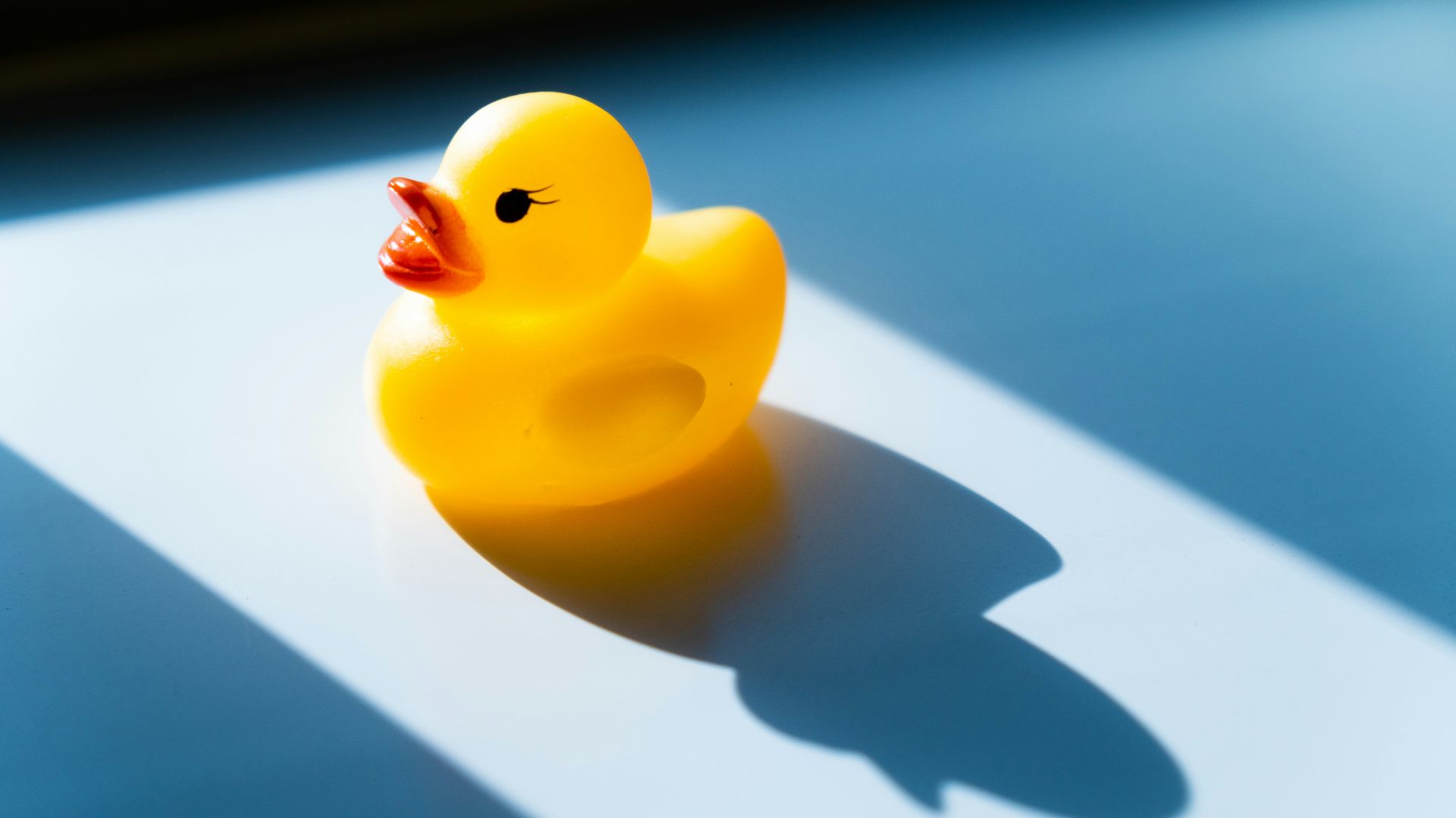 yellow rubber duck on white table