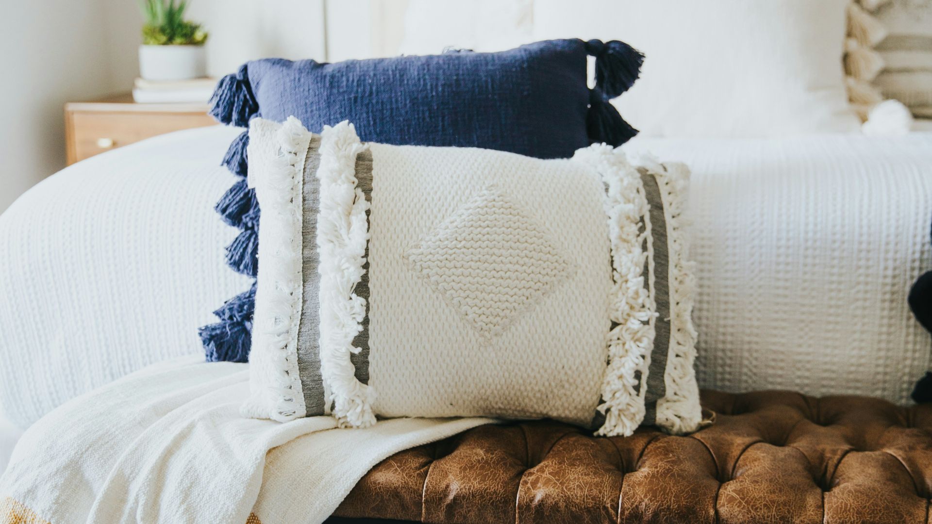 black short coated dog on white and blue floral couch
