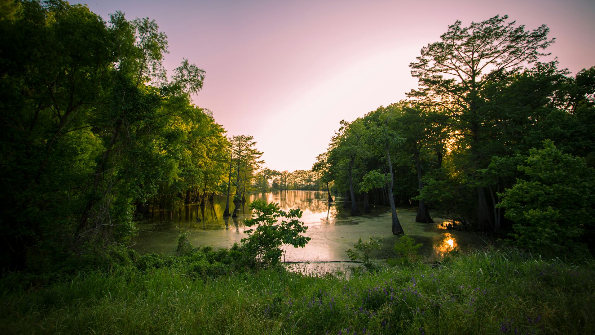 a lake surrounded by lush green trees under a purple sky