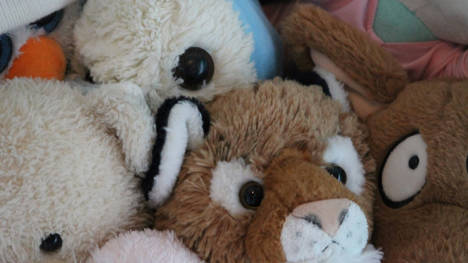 white and brown dog plush toy