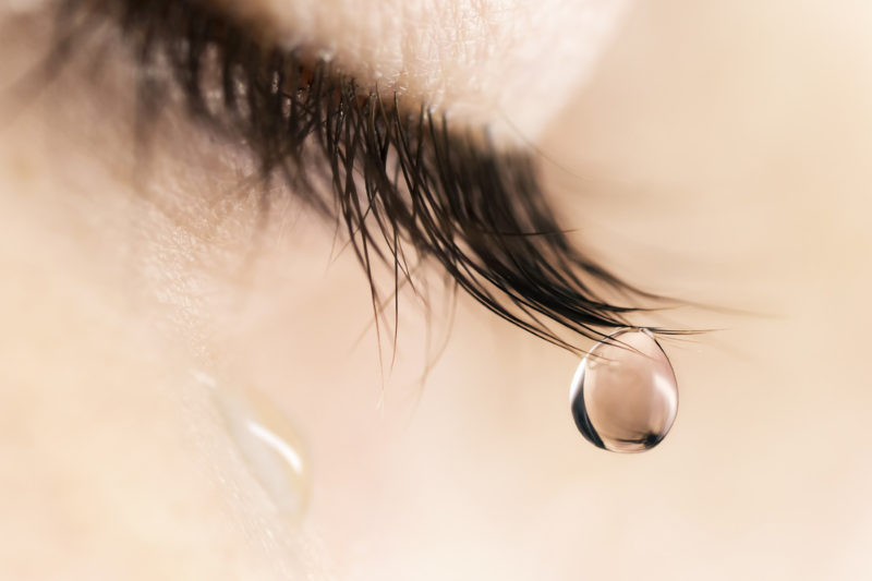 image_1740143365825067455.png