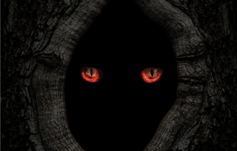 image_1740143460169100112.png