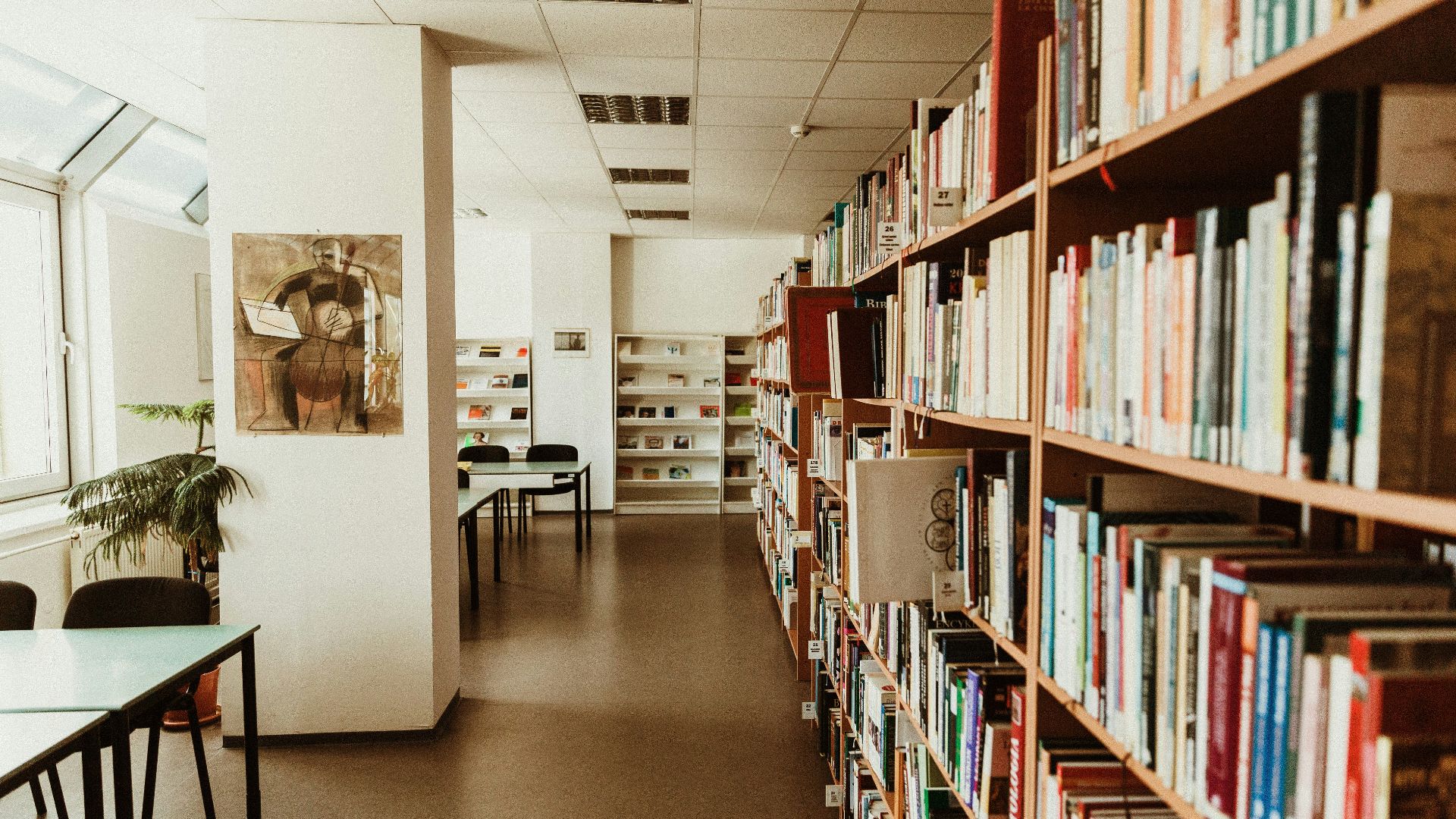 books on shelves in library
