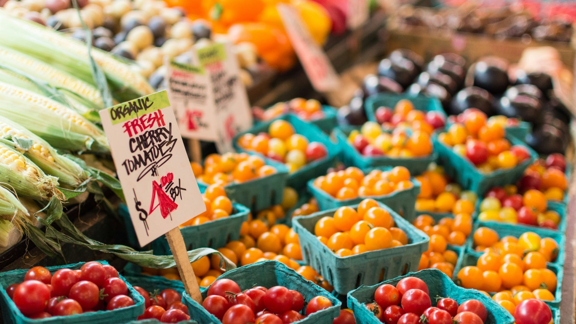 red tomato lot on blue baskets