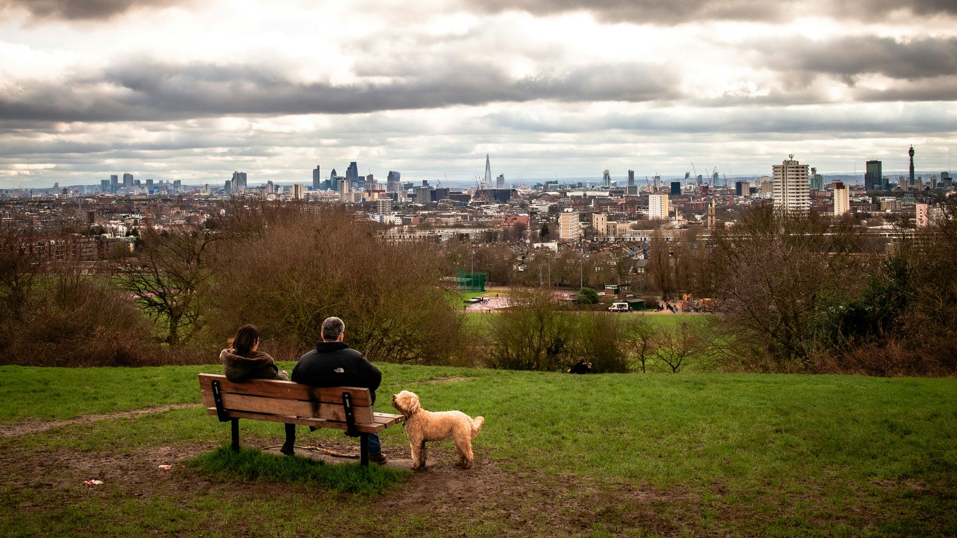 Two people sitting on a bench with a dog