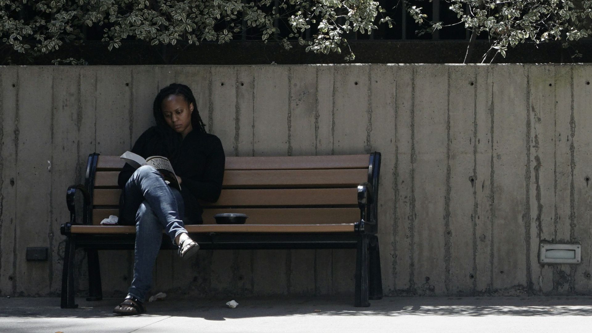 brown wooden bench near white flowers