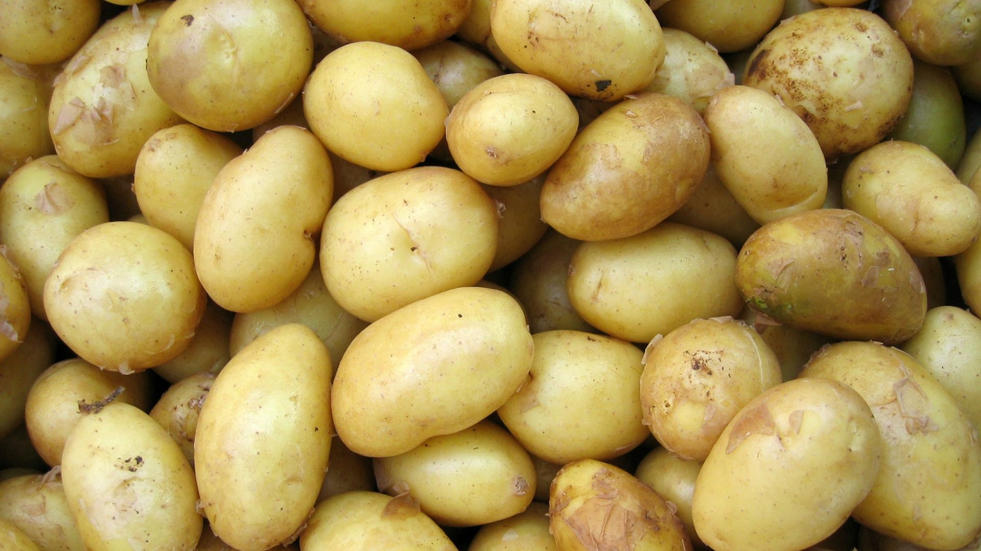 potatoes