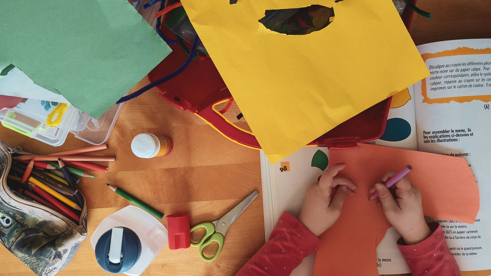 person holding blue and red paper