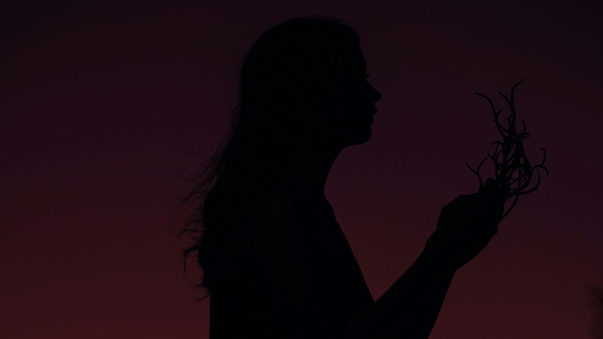 silhouette of woman holding flower