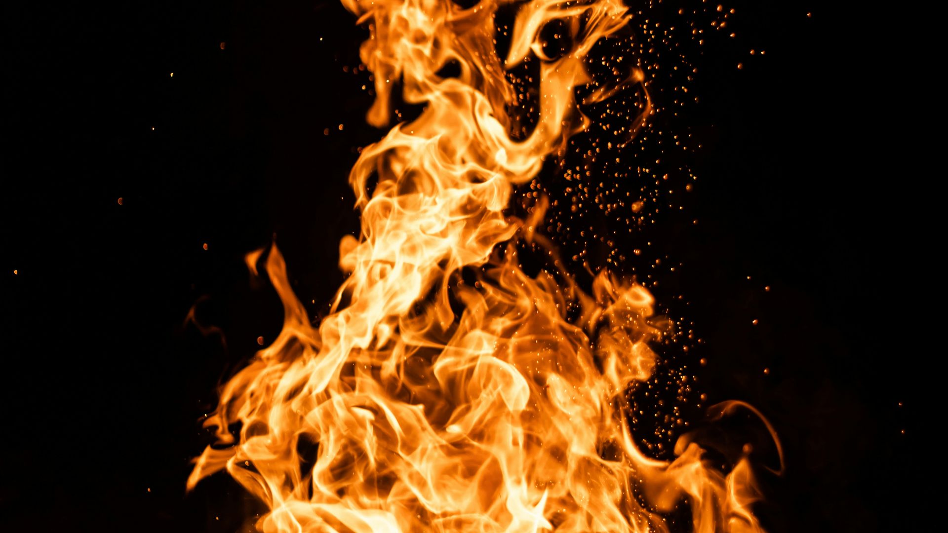 fire in the dark during night time