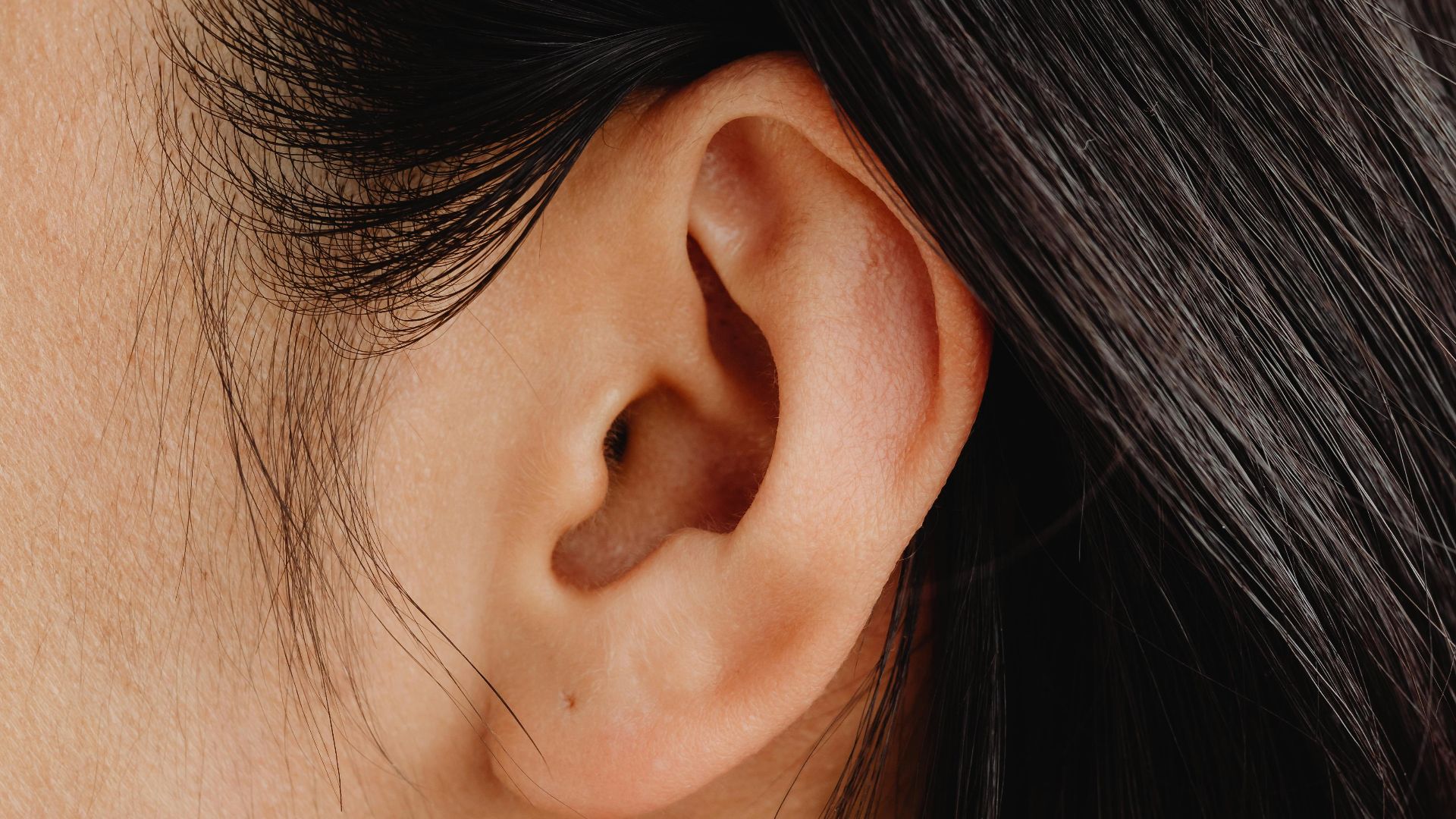 Photo By: Kaboompics.com