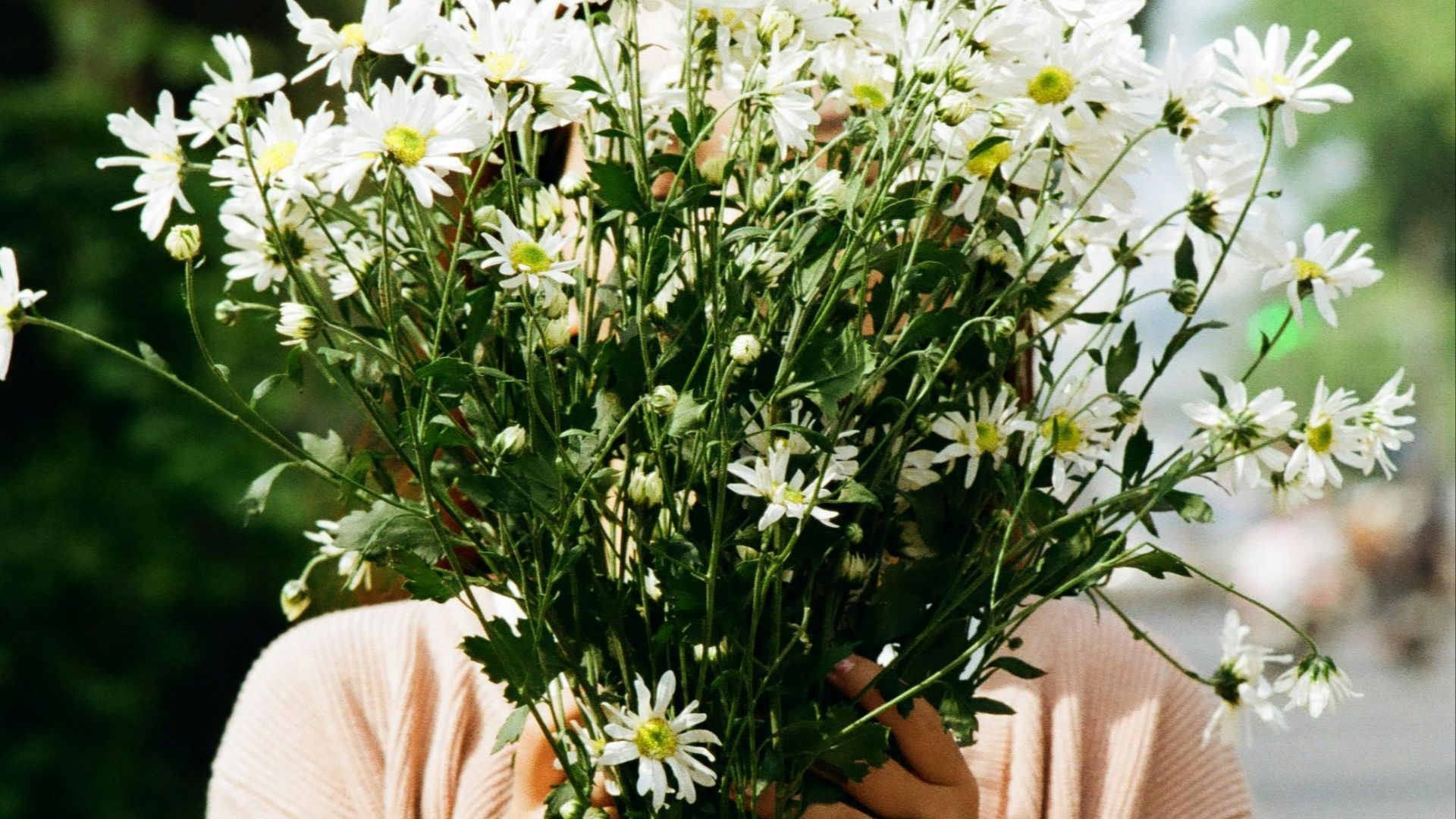 Trần Mạnh Đức