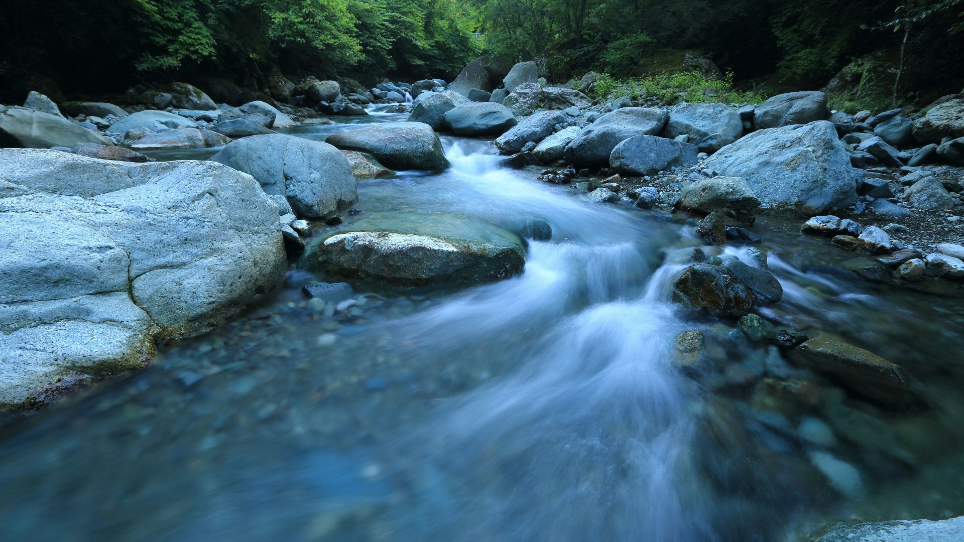 body river surrounded by dress