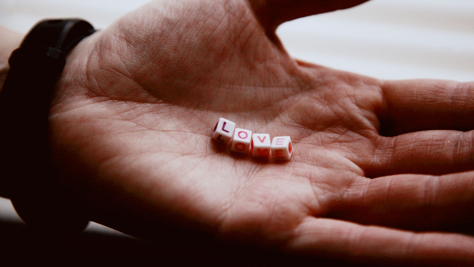 red and white plastic toy on persons hand
