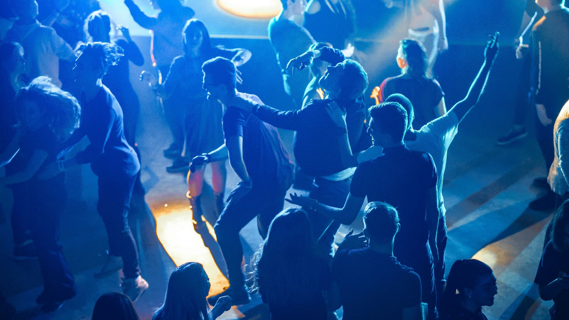 people in a concert during night time