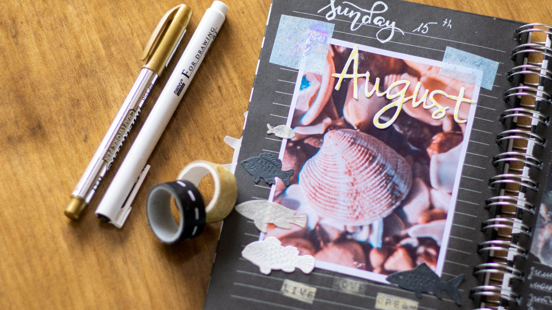 the magic of the gathering book