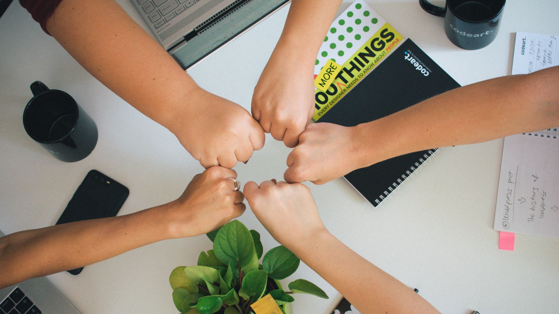 person holding green flower bud