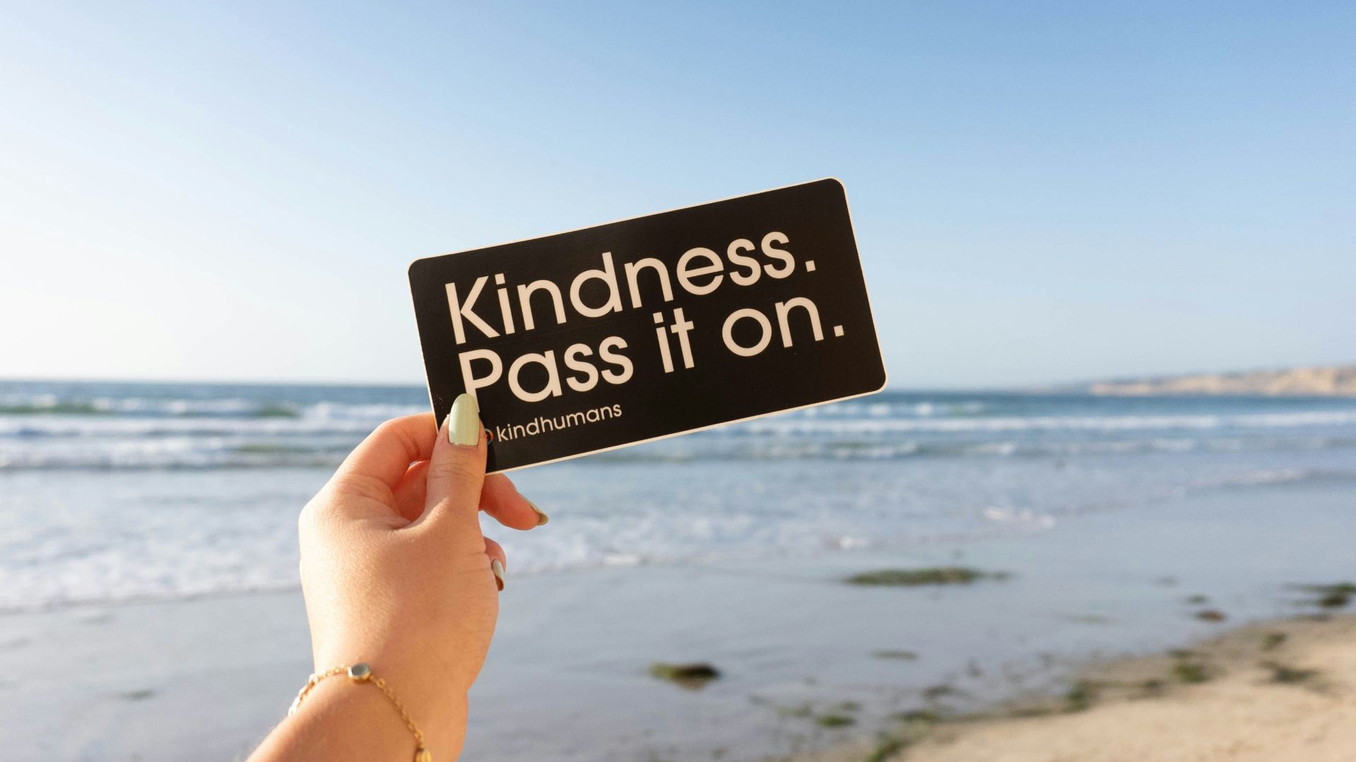 person holding black and white no smoking sign