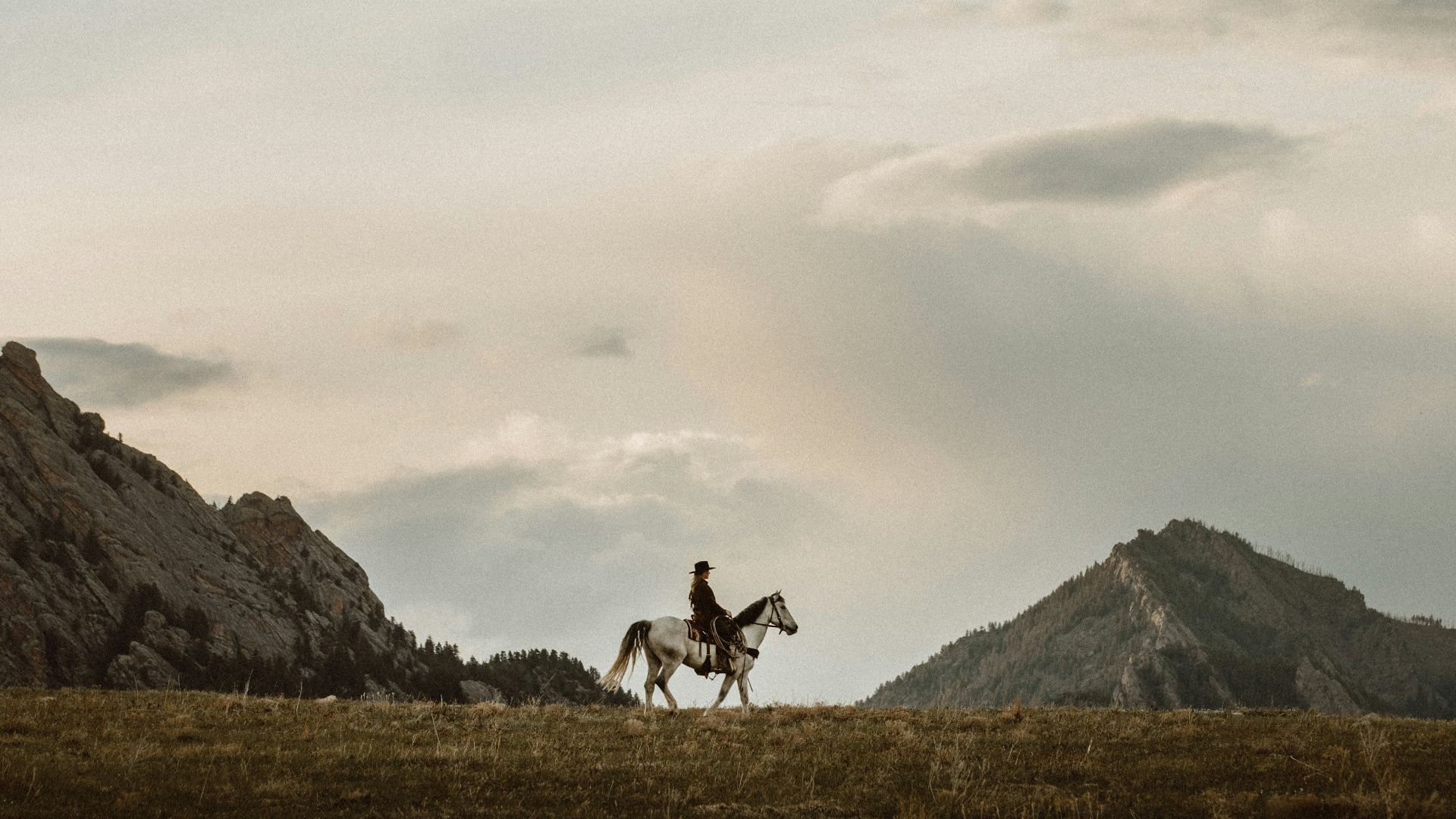 2 person riding horse on green grass field during daytime