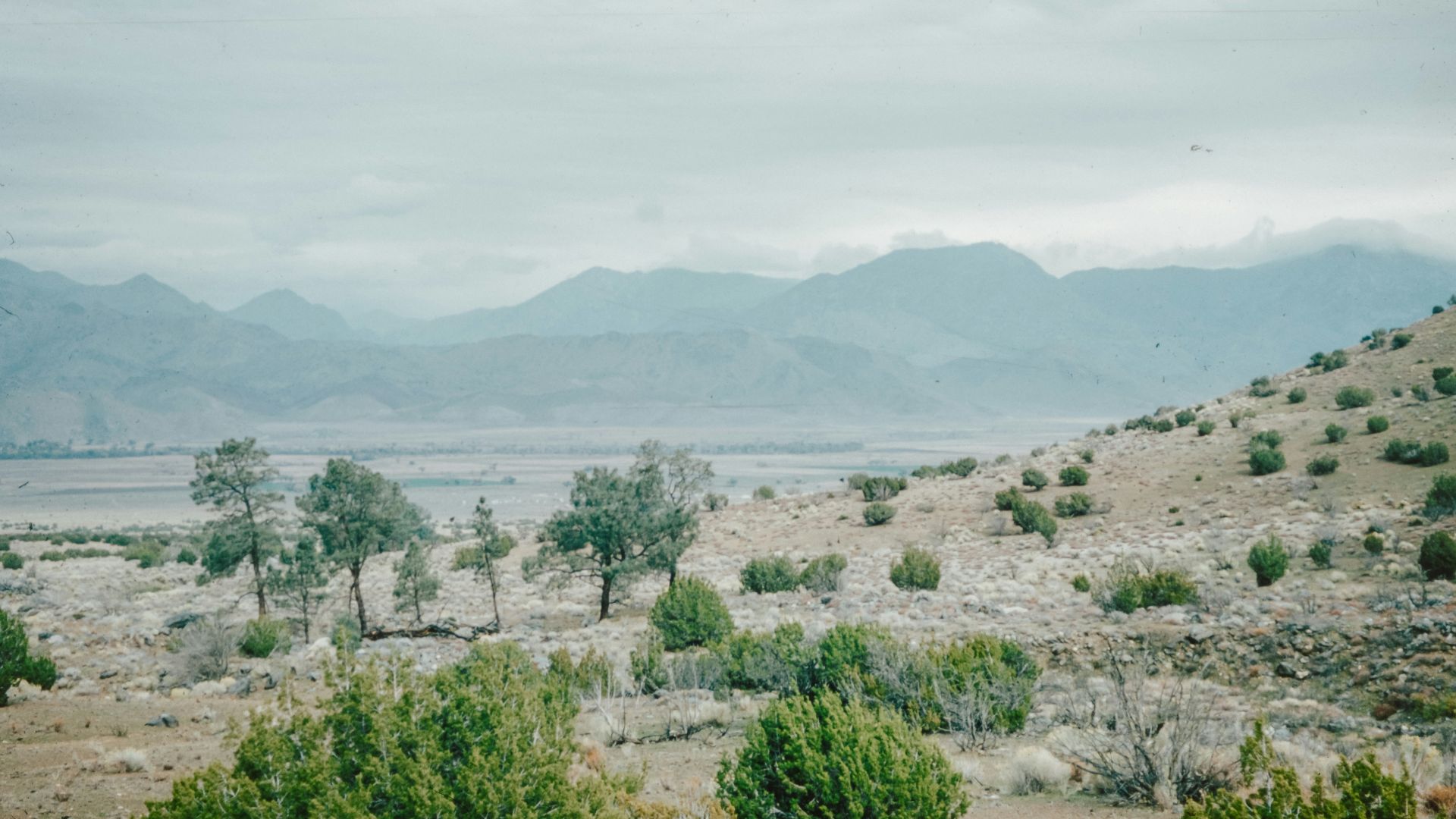 a view of mountains and trees from a distance