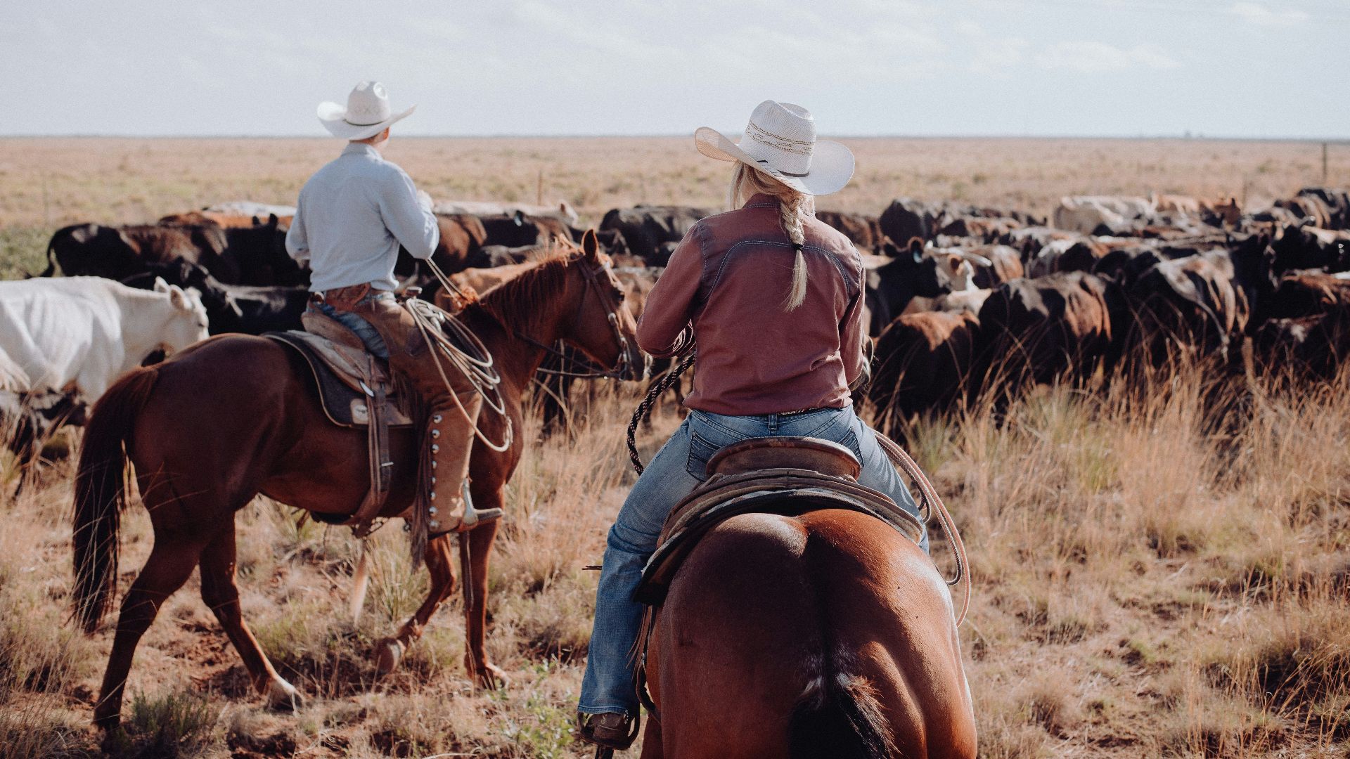 a couple of people riding on the backs of horses